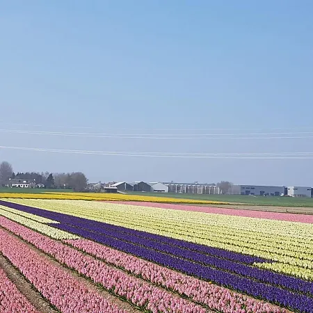 Casa Del Apartman Lisse