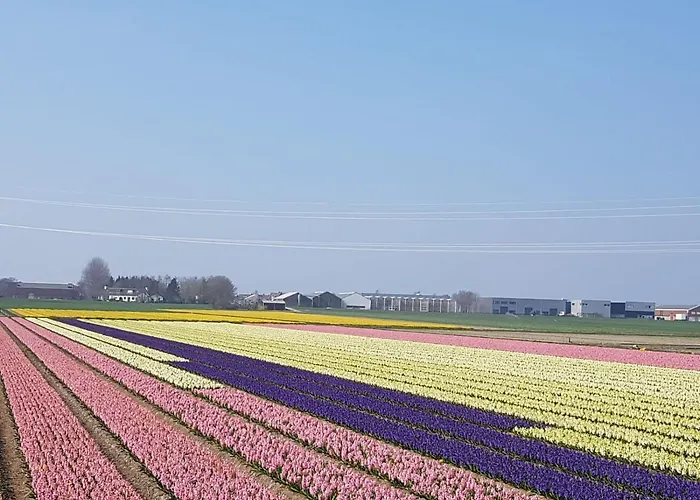 Casa Del דירה ליסא